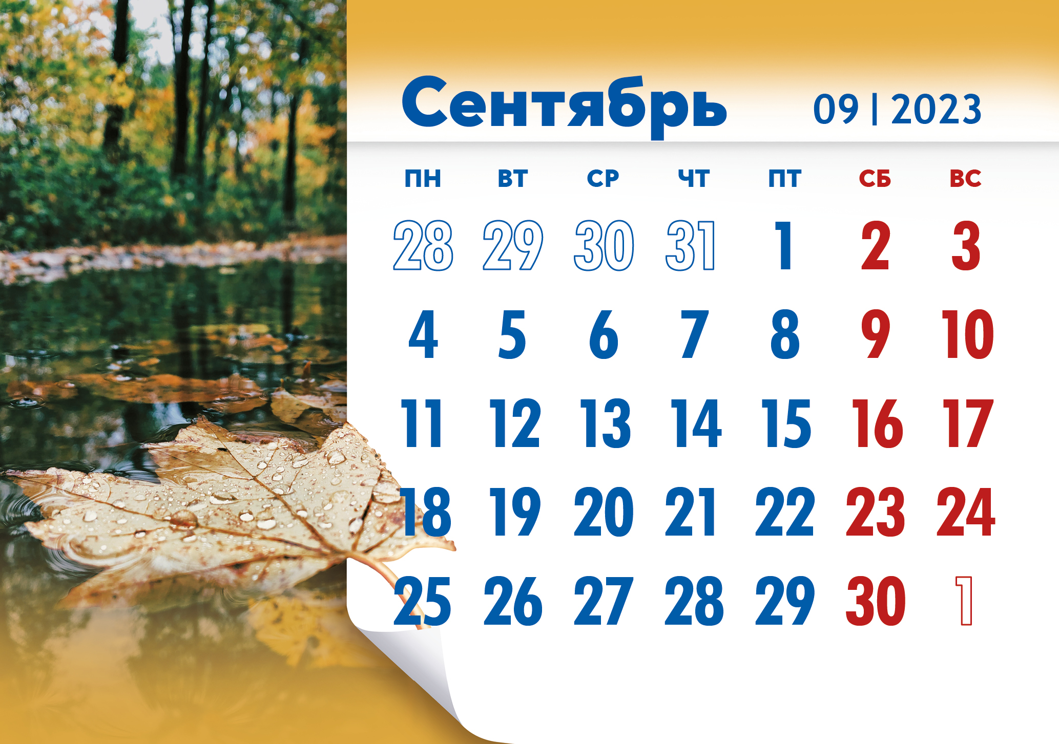 Прогноз
